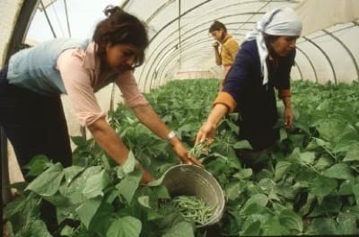 mujeres agrario mujeres agrario