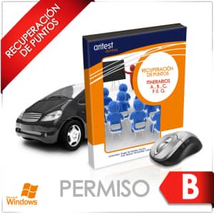 Permiso por puntos