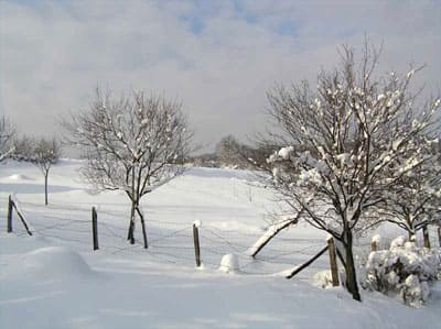 Consejos de conducción para el invierno